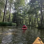 Bocianie Gniazdo - Do Wynajecia * Pluski